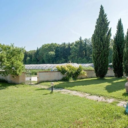 B&B Casa Betulla Pisa Bagian luar foto