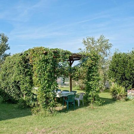 B&B Casa Betulla Pisa Bagian luar foto