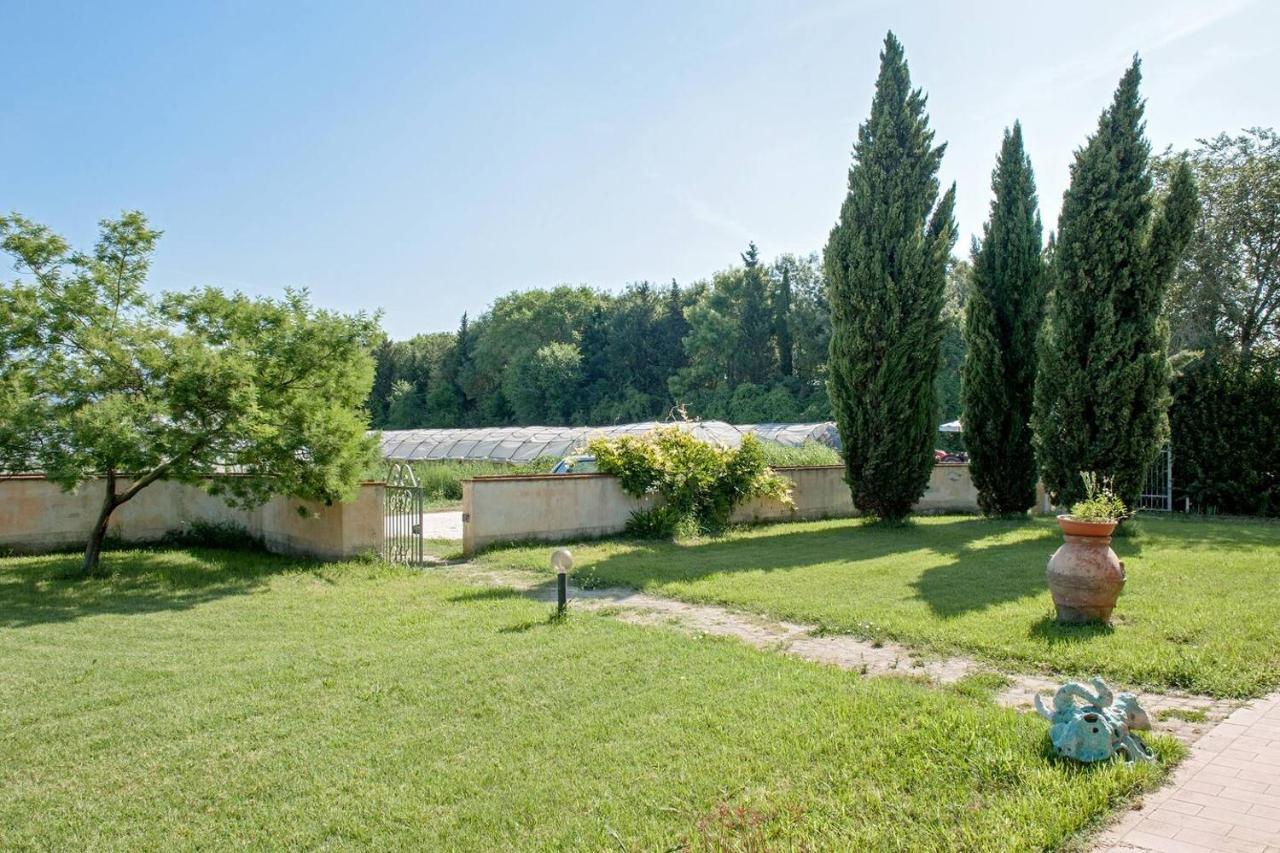 B&B Casa Betulla Pisa Bagian luar foto